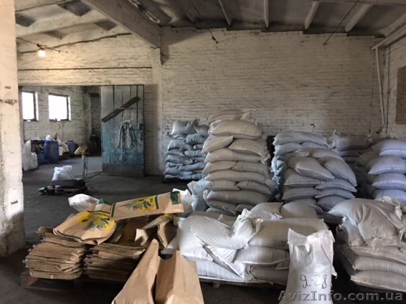  Продам предприятие по подготовке посевматериалов - <ro>Изображение</ro><ru>Изображение</ru> #3, <ru>Объявление</ru> #1625092