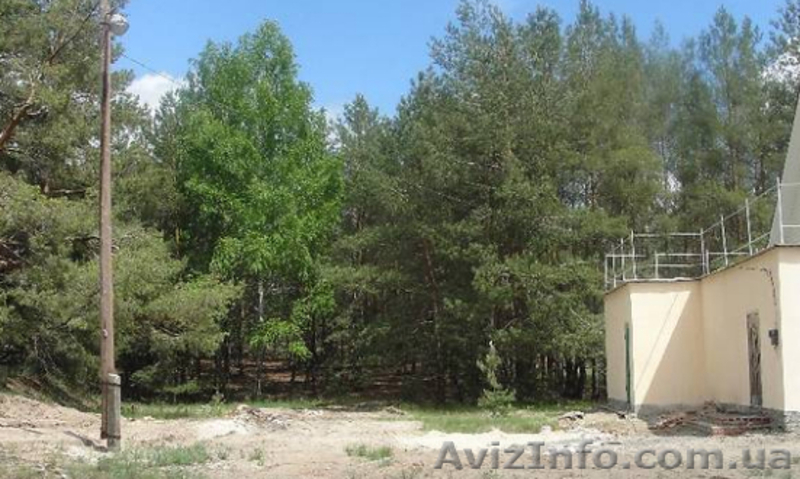 Продам дом в экологическом месте в с. Артюховка - <ro>Изображение</ro><ru>Изображение</ru> #3, <ru>Объявление</ru> #1630503