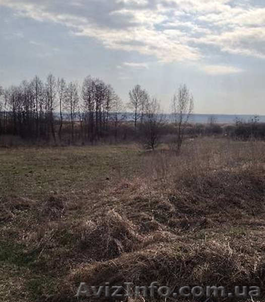 Продам 2 участка под жилую застройку в Артюховке - <ro>Изображение</ro><ru>Изображение</ru> #3, <ru>Объявление</ru> #1630502