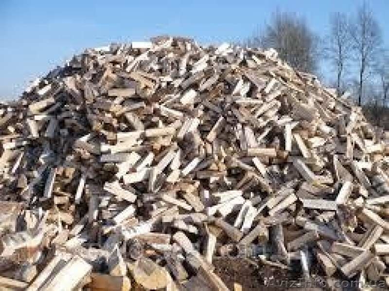 Дрова колотые от 700грн за складометр - <ro>Изображение</ro><ru>Изображение</ru> #1, <ru>Объявление</ru> #1632561