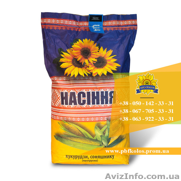 Семена подсолнечника / Рекольд - насіння соняшника - <ro>Изображение</ro><ru>Изображение</ru> #5, <ru>Объявление</ru> #1588893