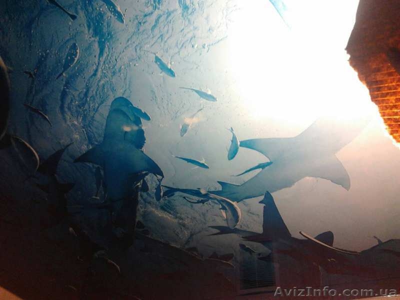 Натяжные потолки лучшего качества  - <ro>Изображение</ro><ru>Изображение</ru> #1, <ru>Объявление</ru> #1635495