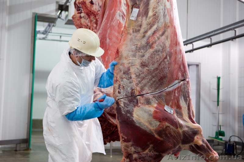 Требуются обвальщики на мясокомбинат, Литва - <ro>Изображение</ro><ru>Изображение</ru> #2, <ru>Объявление</ru> #1639391