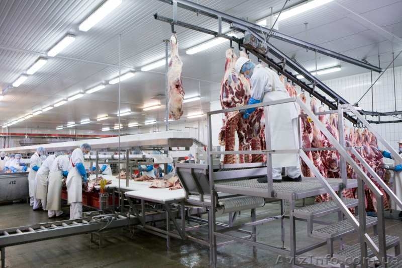 Требуются обвальщики на мясокомбинат, Литва - <ro>Изображение</ro><ru>Изображение</ru> #3, <ru>Объявление</ru> #1639391