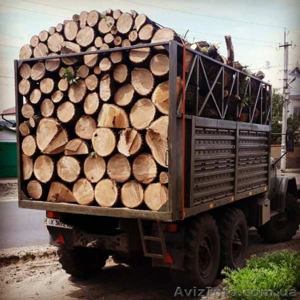 Дрова от хозяина с бесплатной доставкой, дуб - <ro>Изображение</ro><ru>Изображение</ru> #3, <ru>Объявление</ru> #1644335