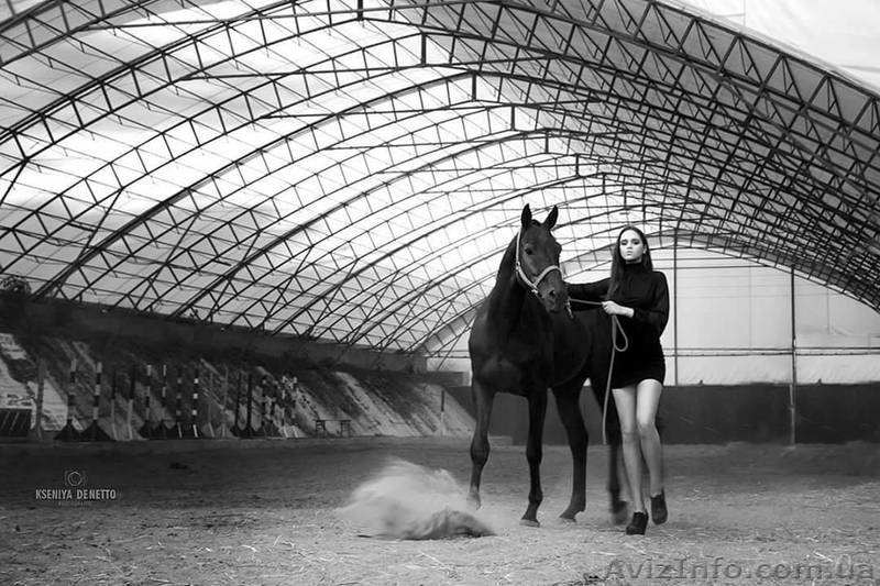 Подарочный сертификат на конную прогулку, обучение верховой езде - <ro>Изображение</ro><ru>Изображение</ru> #3, <ru>Объявление</ru> #1643265