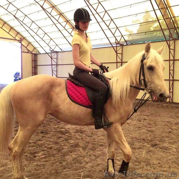 Обучение верховой езде в Харькове, уроки верховой езды - <ro>Изображение</ro><ru>Изображение</ru> #4, <ru>Объявление</ru> #1643267