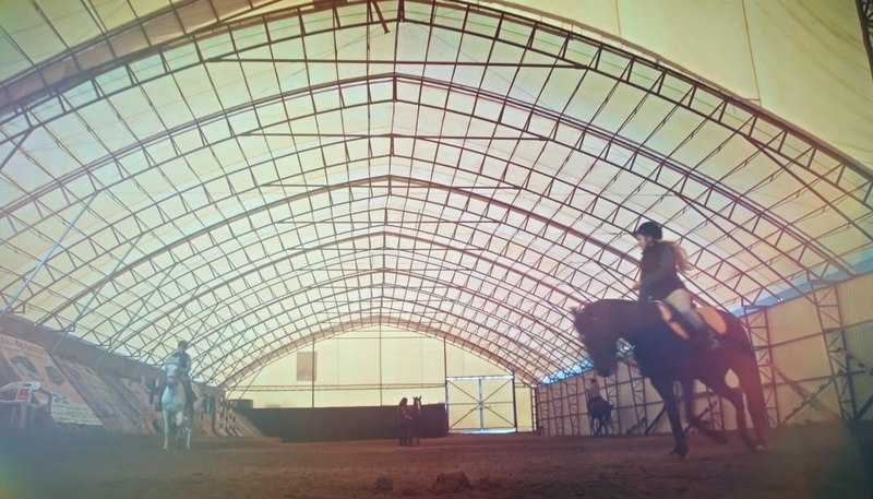 Постой лошадей, аренда денников - <ro>Изображение</ro><ru>Изображение</ru> #3, <ru>Объявление</ru> #1649517