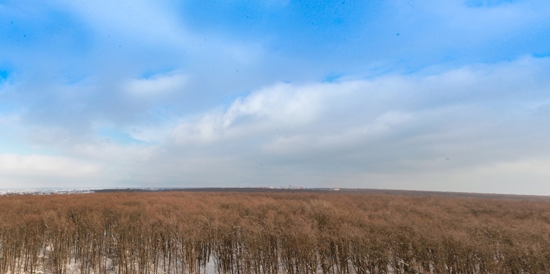 Уютная Квартира в НОВОСТРОЕ на АЛЕКСЕЕВКЕ с Ремонтом!! - <ro>Изображение</ro><ru>Изображение</ru> #3, <ru>Объявление</ru> #1655907