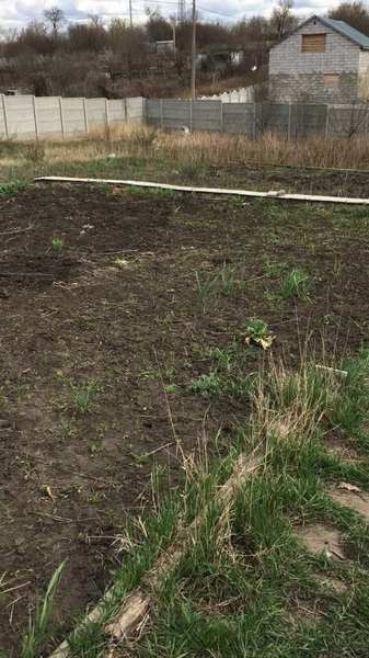 Продам дачу 23 сотки (два смежных участка) - <ro>Изображение</ro><ru>Изображение</ru> #3, <ru>Объявление</ru> #1665299