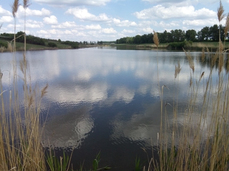 Пруд, ставок ( каскад прудов 8 и 5 Га ) - <ro>Изображение</ro><ru>Изображение</ru> #2, <ru>Объявление</ru> #1677539