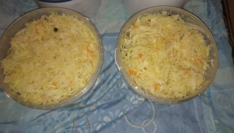 Продам настоящую квашеную капусту - <ro>Изображение</ro><ru>Изображение</ru> #3, <ru>Объявление</ru> #1677635