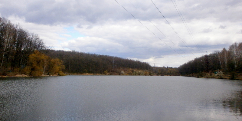 Продам дом возле экопарка, пос. Лесное - <ro>Изображение</ro><ru>Изображение</ru> #10, <ru>Объявление</ru> #1681653