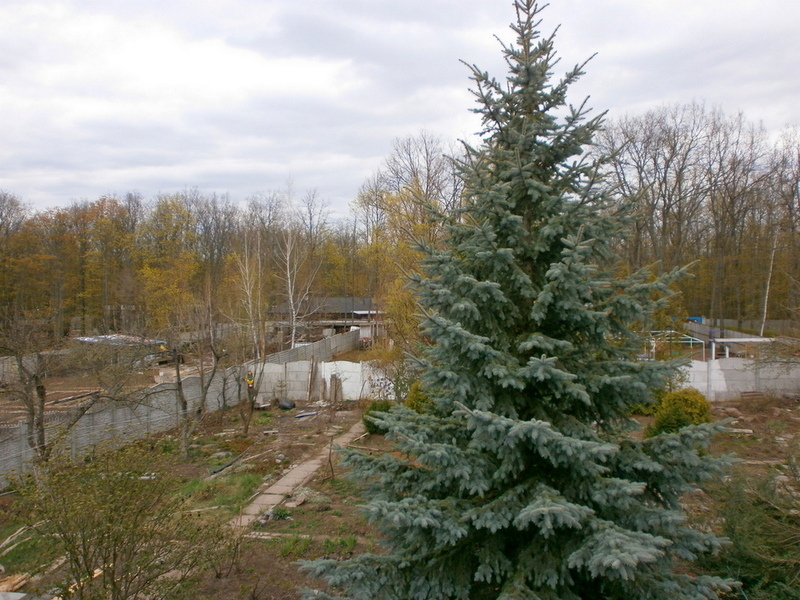 Продам дом возле экопарка, пос. Лесное - <ro>Изображение</ro><ru>Изображение</ru> #3, <ru>Объявление</ru> #1681653