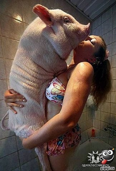 Биопрепарат Биотрит БЛ+ для утилизации помёта/навоза. - <ro>Изображение</ro><ru>Изображение</ru> #4, <ru>Объявление</ru> #1681379