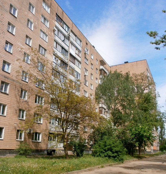 Продам 1-к., Новожаново, 3/9 - <ro>Изображение</ro><ru>Изображение</ru> #1, <ru>Объявление</ru> #1682815