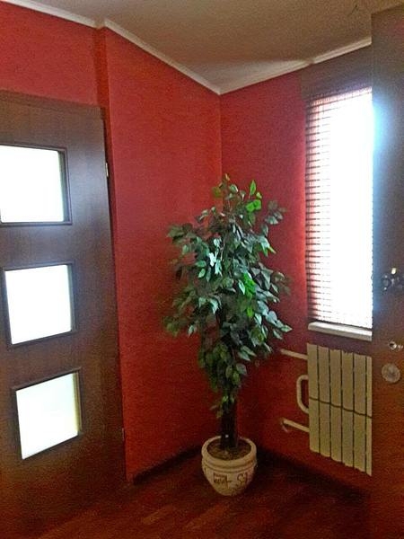 Продам дом 115 м2 на Шишковке - <ro>Изображение</ro><ru>Изображение</ru> #10, <ru>Объявление</ru> #1508161