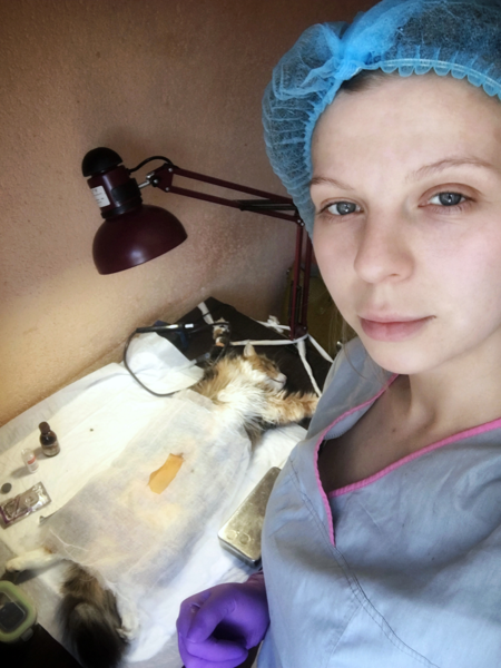 Услуги ветеринара на дом в Харькове - <ro>Изображение</ro><ru>Изображение</ru> #4, <ru>Объявление</ru> #1689162