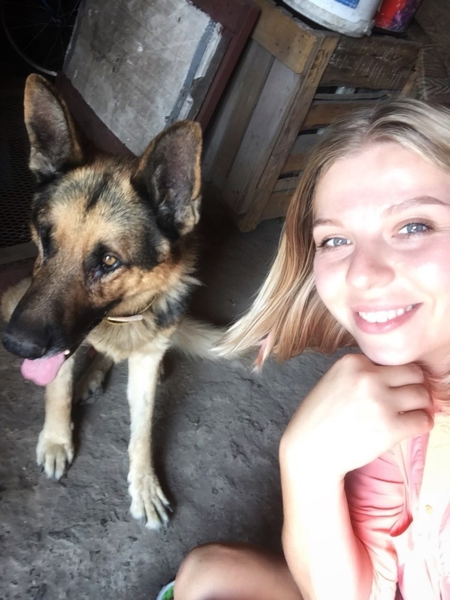 Услуги ветеринара на дом в Харькове - <ro>Изображение</ro><ru>Изображение</ru> #5, <ru>Объявление</ru> #1689162