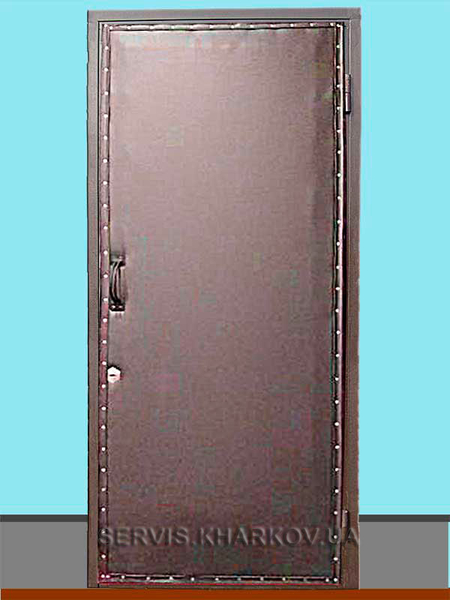 Ремонт реставрация входных дверей   - <ro>Изображение</ro><ru>Изображение</ru> #4, <ru>Объявление</ru> #1698284