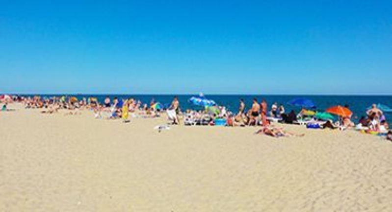 Затока из Харькова. База отдыха "Изумруд" 2021 - <ro>Изображение</ro><ru>Изображение</ru> #4, <ru>Объявление</ru> #1711044