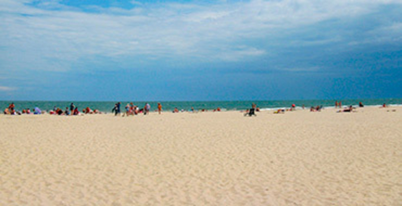 Затока из Харькова. Семейный отель "Заря" 2021 - <ro>Изображение</ro><ru>Изображение</ru> #4, <ru>Объявление</ru> #1711045