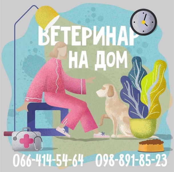 Услуги Ветеринара на дом  - <ro>Изображение</ro><ru>Изображение</ru> #1, <ru>Объявление</ru> #1715639