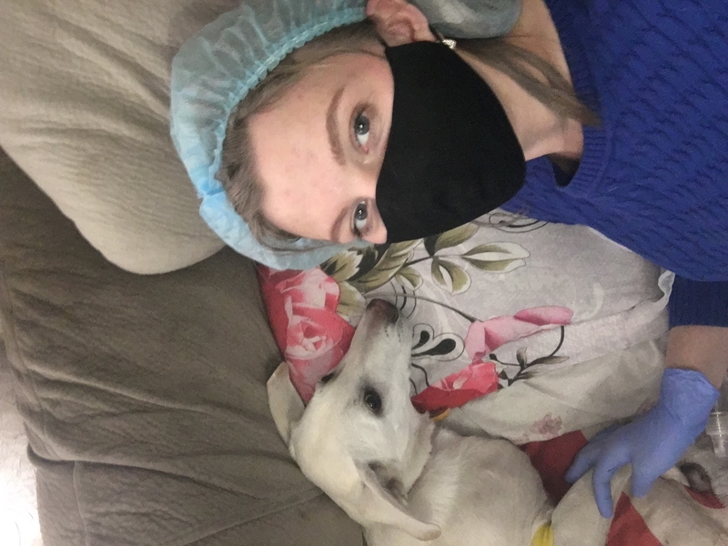 Услуги Ветеринара на дом  - <ro>Изображение</ro><ru>Изображение</ru> #3, <ru>Объявление</ru> #1715639