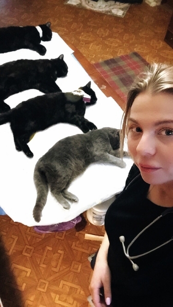 Услуги Ветеринара на дом  - <ro>Изображение</ro><ru>Изображение</ru> #5, <ru>Объявление</ru> #1715639