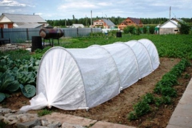  Парники EXPERT от производителя - <ro>Изображение</ro><ru>Изображение</ru> #3, <ru>Объявление</ru> #1716114