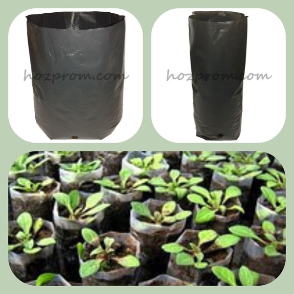 Пакеты для рассады Выращивание хвойных растений Пакеты для саженцев - <ro>Изображение</ro><ru>Изображение</ru> #2, <ru>Объявление</ru> #1717064