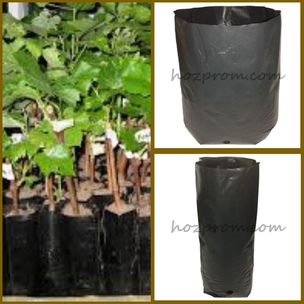 Пакеты для саженцев Стаканчики для рассады Мешочки для посадки - <ro>Изображение</ro><ru>Изображение</ru> #3, <ru>Объявление</ru> #1717065