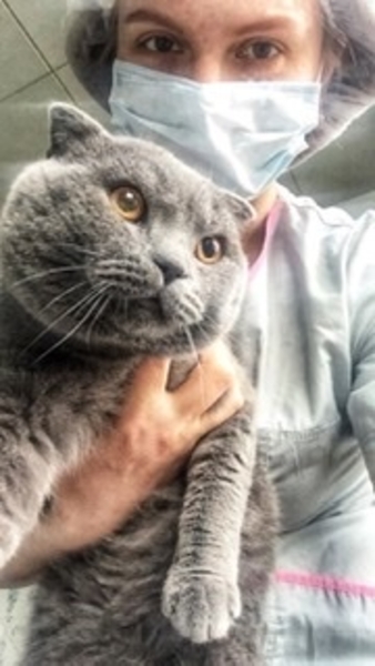 Ветеринар на дом в городе Харьков - <ro>Изображение</ro><ru>Изображение</ru> #3, <ru>Объявление</ru> #1722010