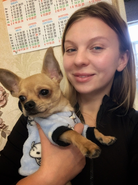 Ветеринар на дом в городе Харьков - <ro>Изображение</ro><ru>Изображение</ru> #5, <ru>Объявление</ru> #1722010