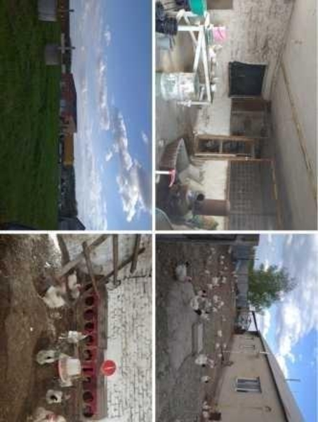 Продам объект под бизнес - <ro>Изображение</ro><ru>Изображение</ru> #3, <ru>Объявление</ru> #1732730