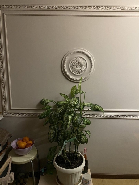 Продам 3комнатную квартиру на Салтовке,  - <ro>Изображение</ro><ru>Изображение</ru> #10, <ru>Объявление</ru> #1737548