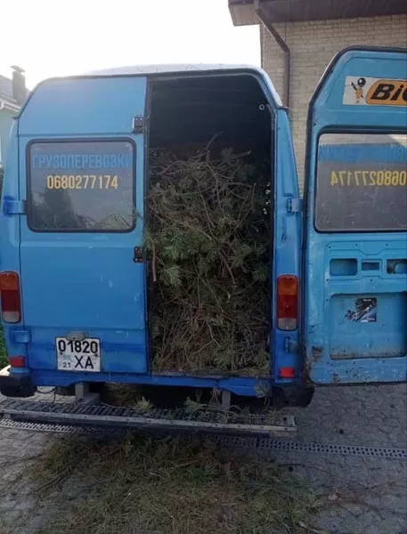 Вывоз Мусора, грузоперевозки, грузчики - <ro>Изображение</ro><ru>Изображение</ru> #3, <ru>Объявление</ru> #1741823