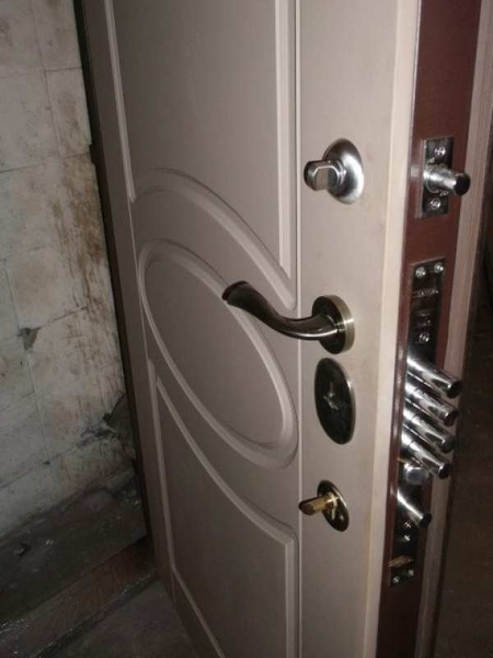 Входные двери металлические  под заказ - <ro>Изображение</ro><ru>Изображение</ru> #3, <ru>Объявление</ru> #1742057